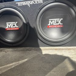 Terminator 10 Inch Subwoofers