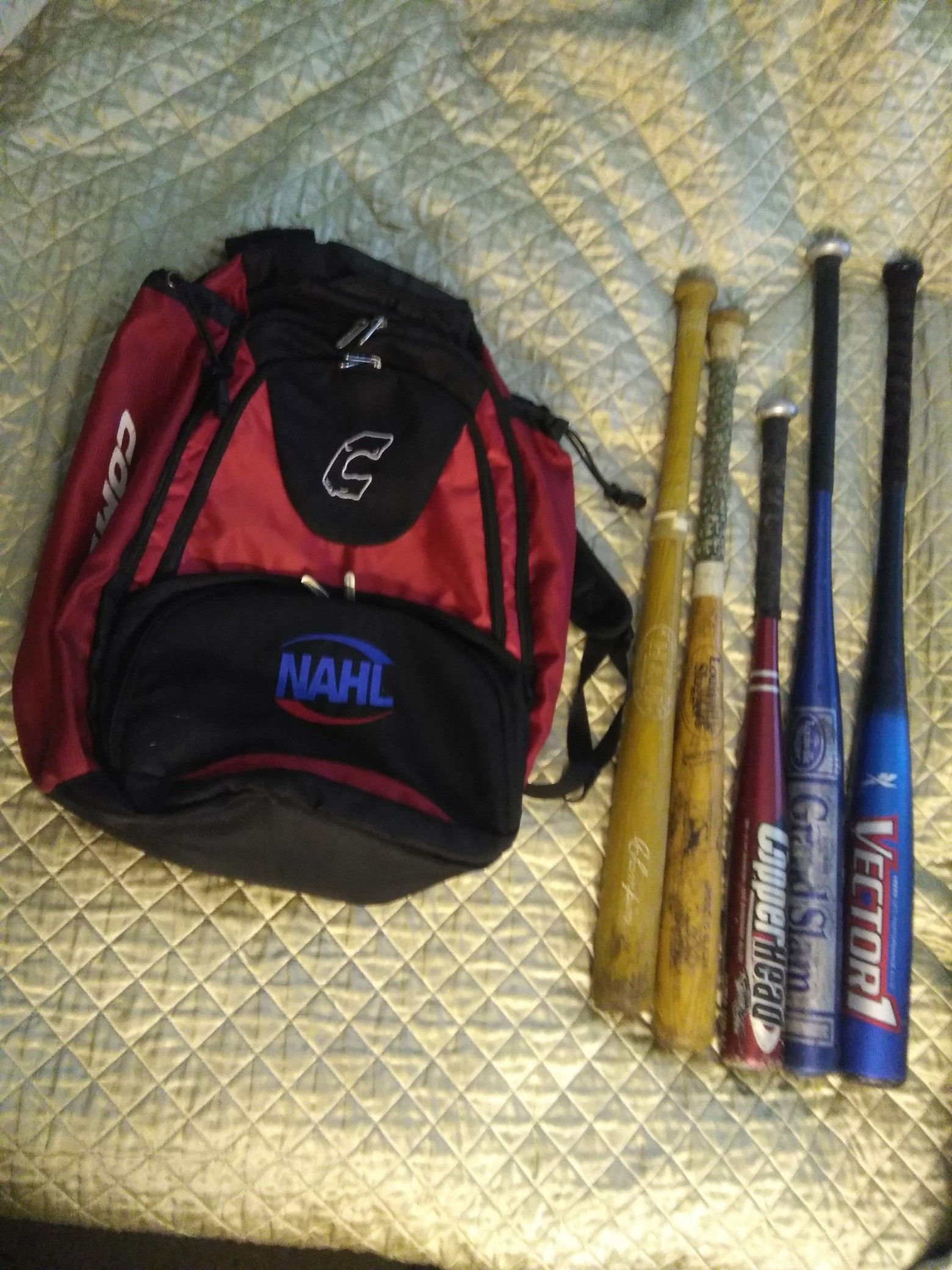 BASEBALL SOFTBALL BACKPACK BAG AND BATS. READ DETAILS