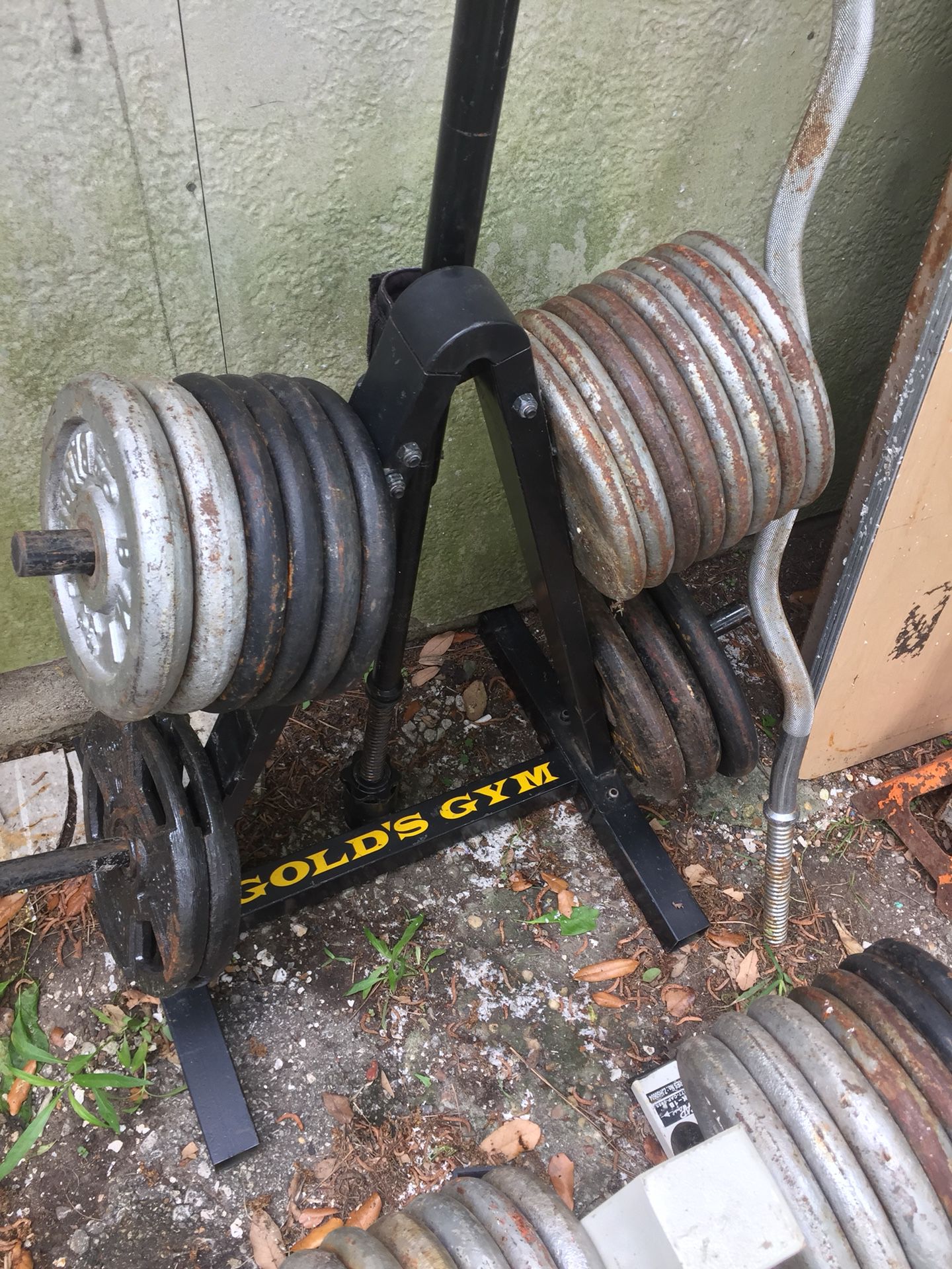 Weights, tree stands and bars
