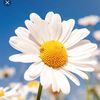 Just for You gifts🌼