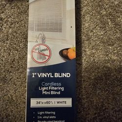 White Blinds