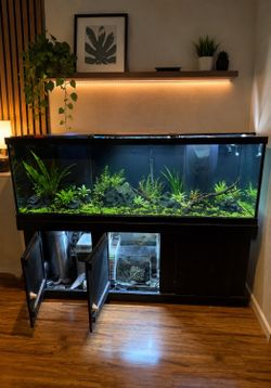 180 gallon aquarium with sump and co2 (best deal!!)