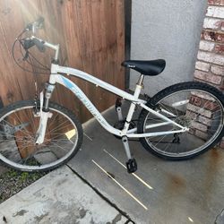 Schwinn Side Winder Bike 