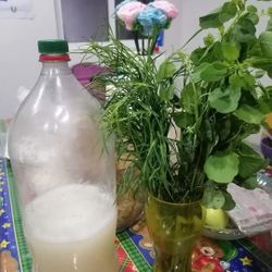Pulque Hidalguense Y Agua Miel Pura 