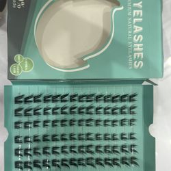 Individual lashes (clusters)