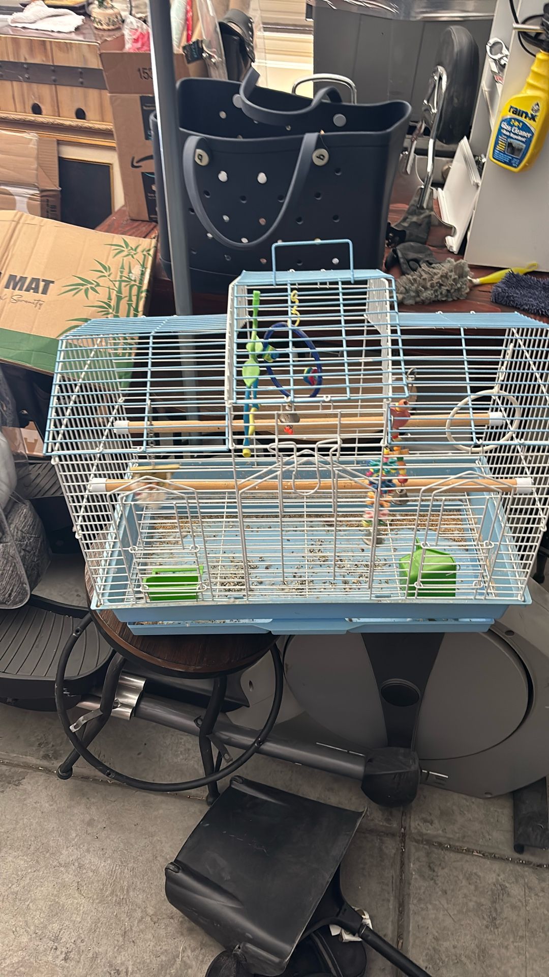 Bird Cage