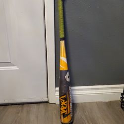 Demarini Baseball Bat 