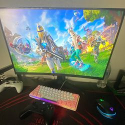 Computer Monitor 