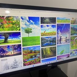 Sleek & Modern 24 Inch Dell Monitor 