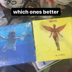 Nevermind and In Utero vinyls/record