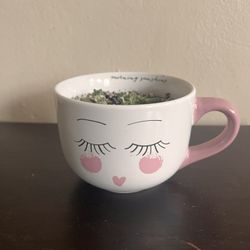 Mug Succulent Plant Garden 