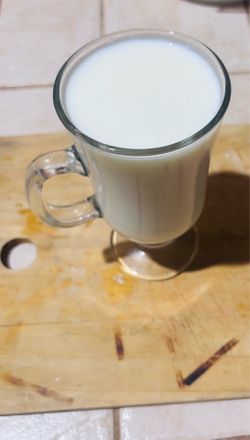 Búlgaros de leche ( kefir)