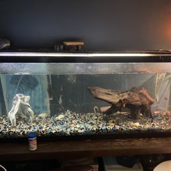55 Gal Tank With Everything You Need 