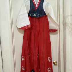 Korean Traditional Dress Hanbok Youth Large 