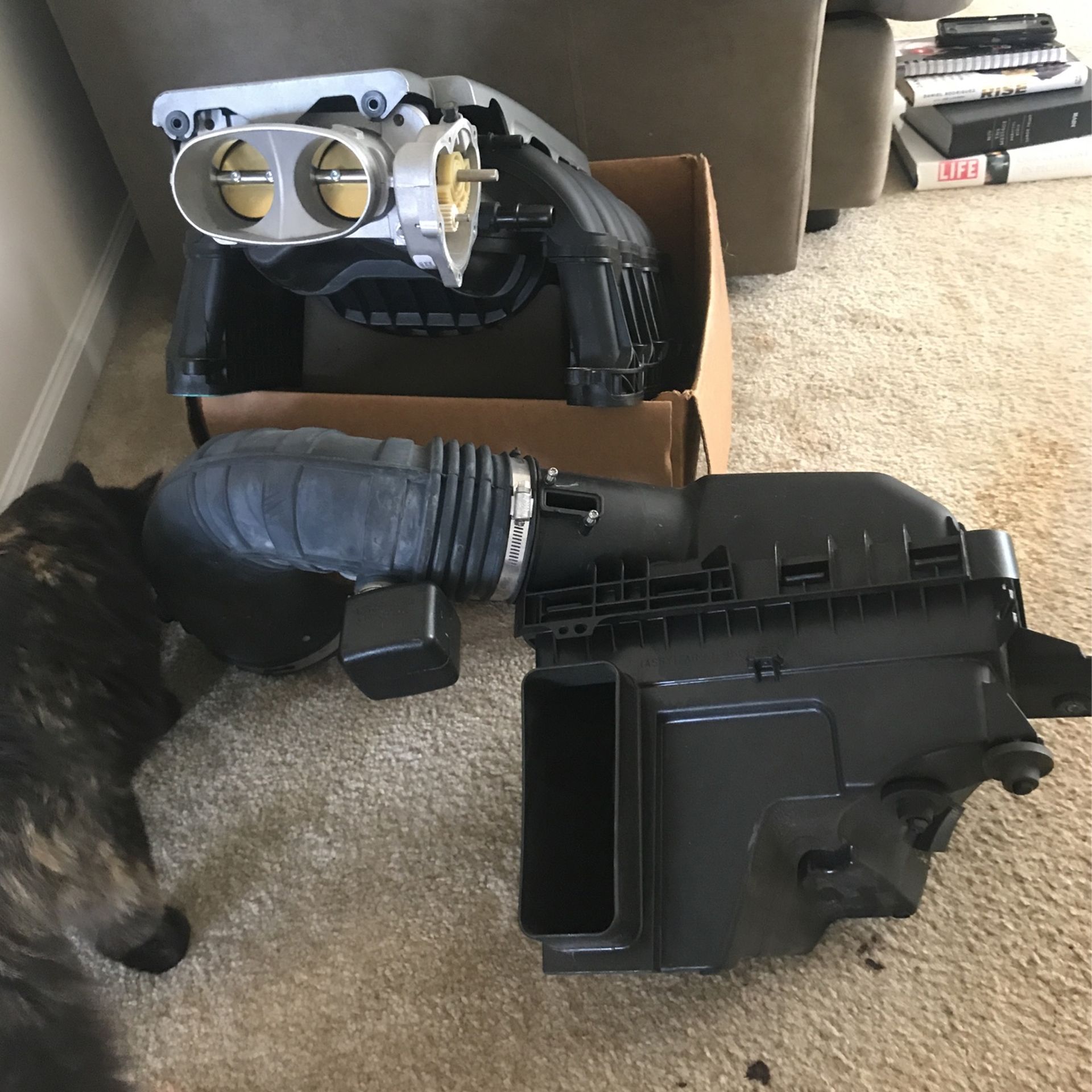 Mustang Gt 2012 Air Intake And Manifold