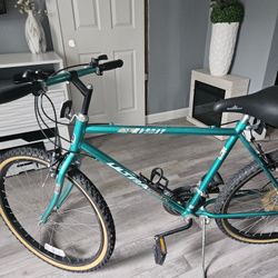 ATB Murray Professional Bike with 15 Speeds