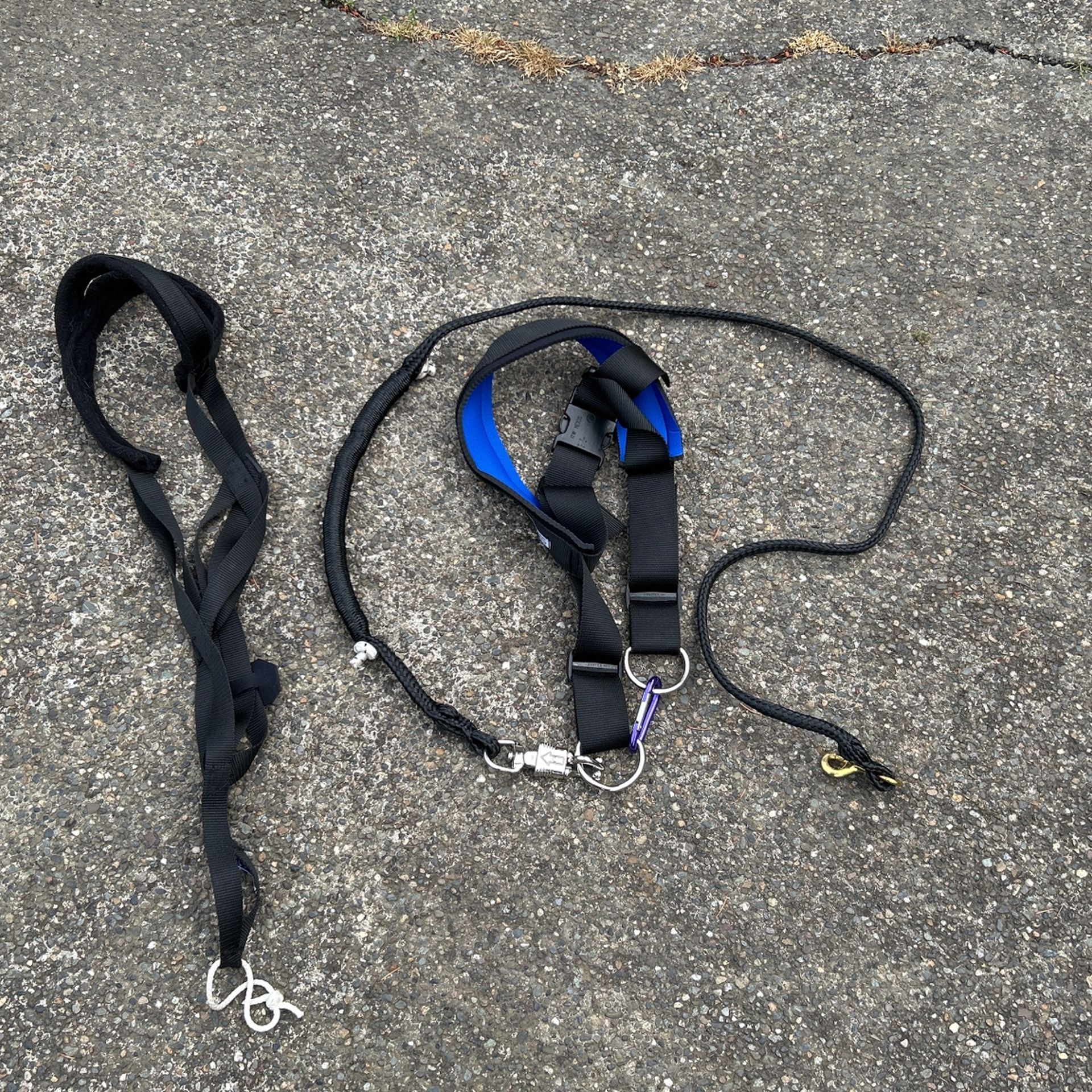 Dog Sled harnesses