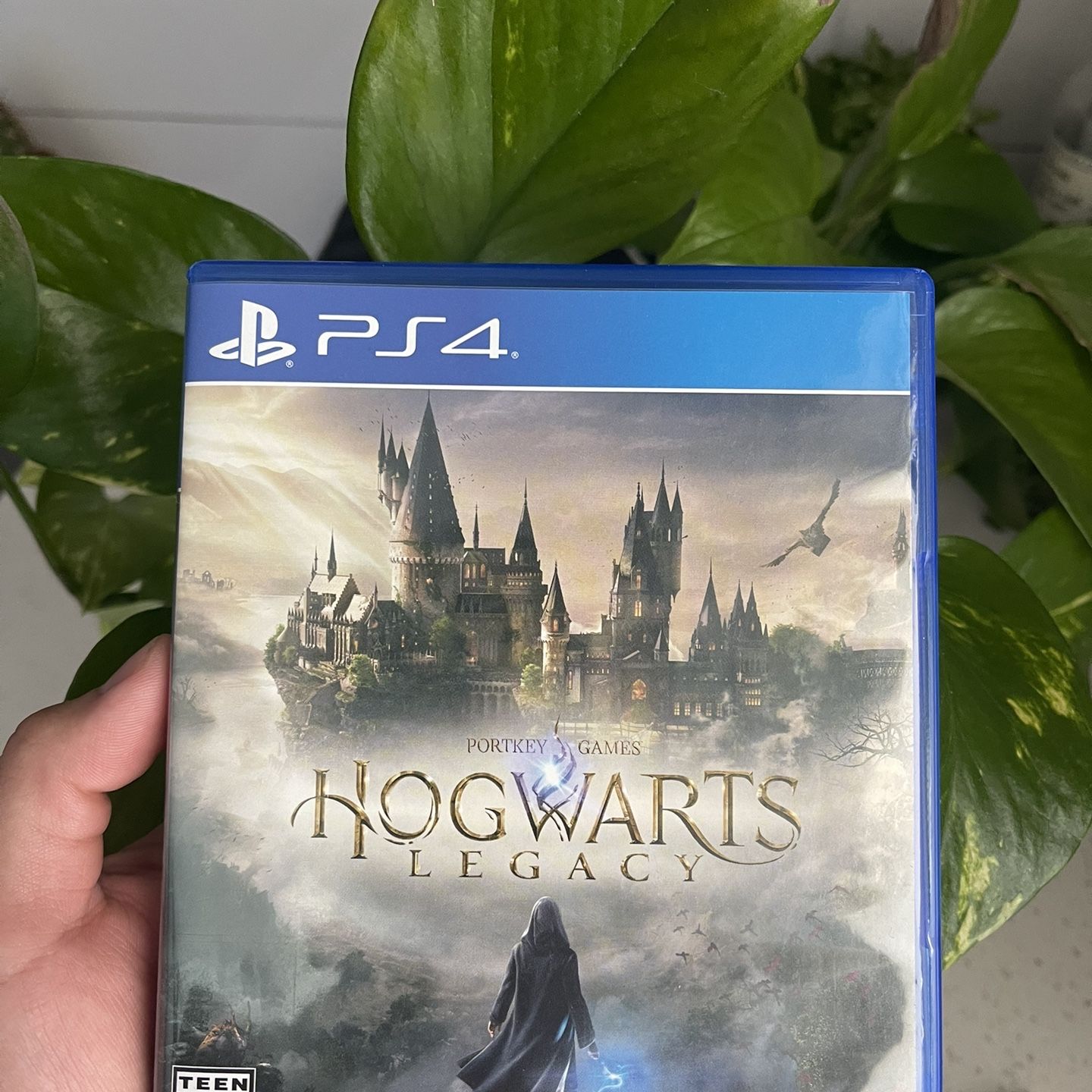 Hogwarts Legacy - PS4 Games