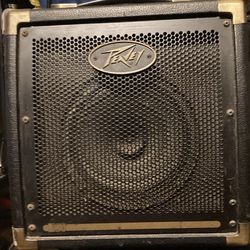 Gently Used Peavey Ecoustic E20 20-watt Amplifier