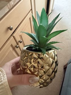 Fake Pineapple Plant 