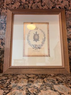 Framed Tortue Turtle Print Wall Art Engraved Garden by Kathryn White