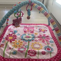 Baby Gym And Pillow