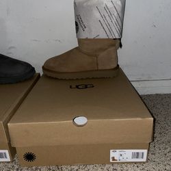 Uggs Boots