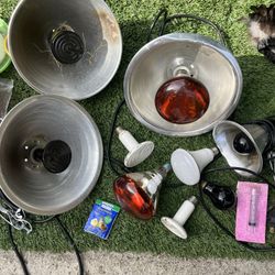 Chicken Supplies: Heat Lamps, Feeders, Etc