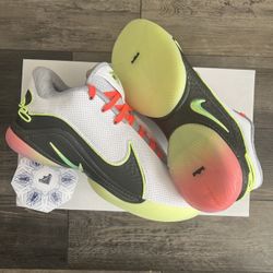 Nike Lebron 22 Basketball Shoe Size 10.5