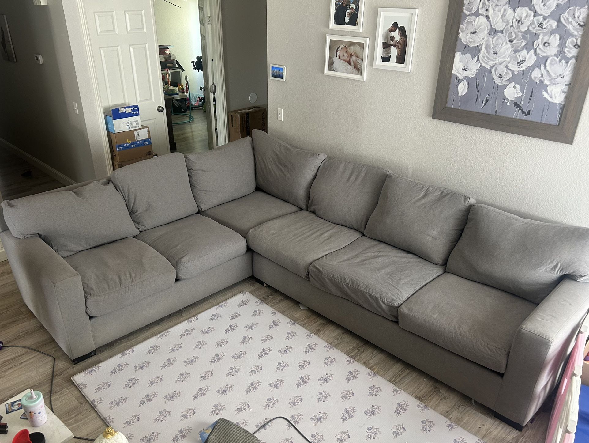 Living Spaces Sectional Couch