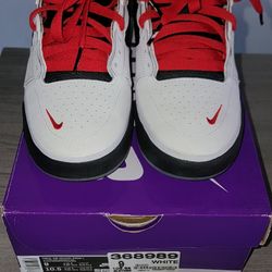 Nike SB ISHOD premium 