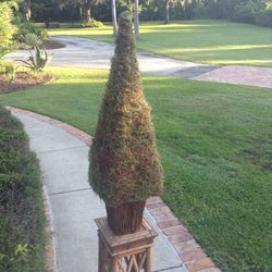 Topiary /lighted/made by Frontgate