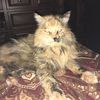 Margaret