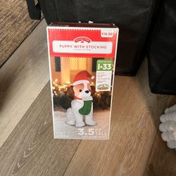 Blow Up Christmas Decor 