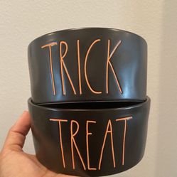 Large Rae Dunn Pet Bowls
