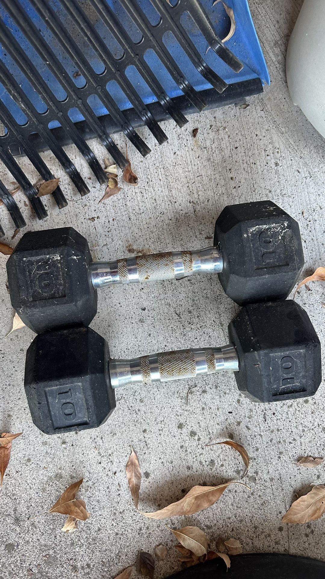 Set of 10lb dumbbells