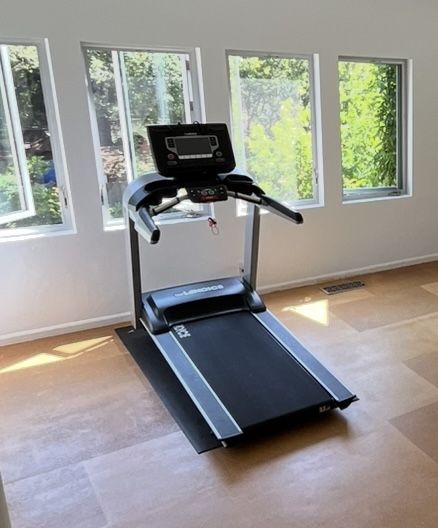 Landice Treadmill