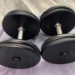 Pair of 45 lb dumbbells