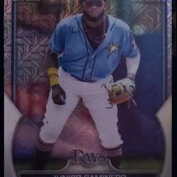 Junior Campinero BCP-16 Mojo