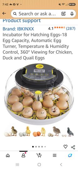 Egg incubator