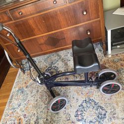 Mobility  Cart