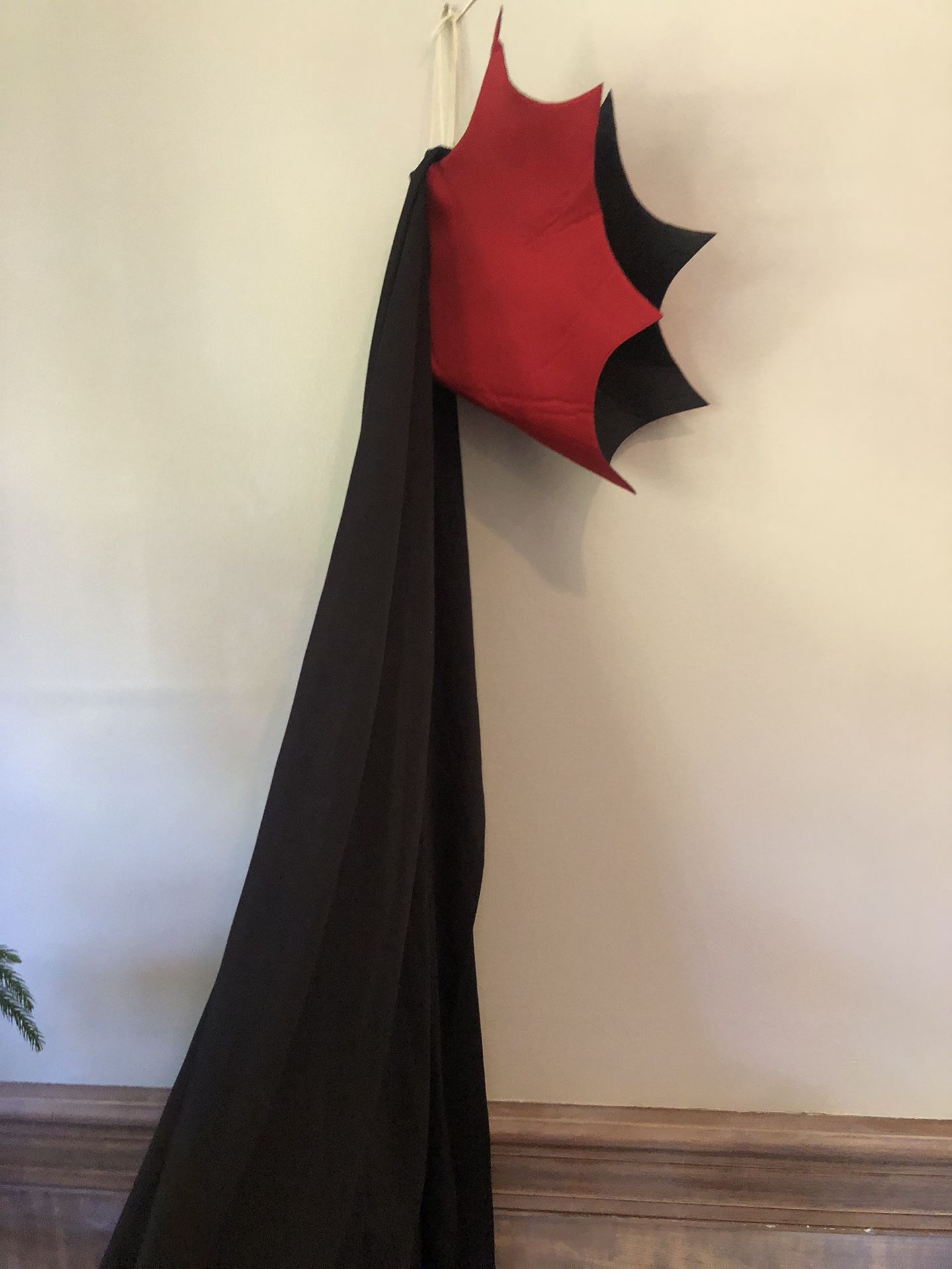 Dracula Cape Halloween Costume