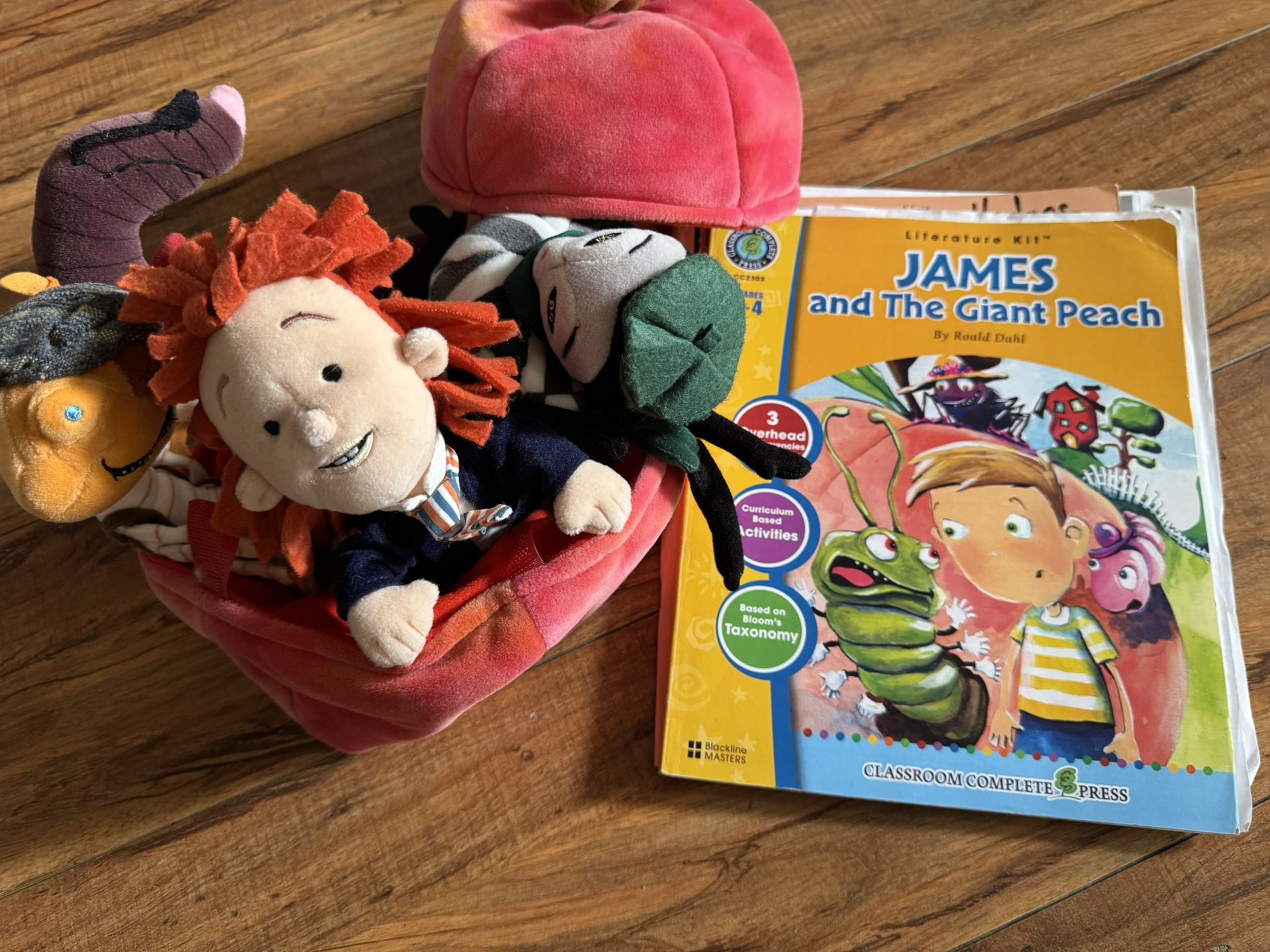 Disney Roald Dahl James and the Giant Peach Plush & Book Literature Kit