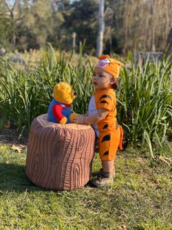 Baby Tiger Costume 24