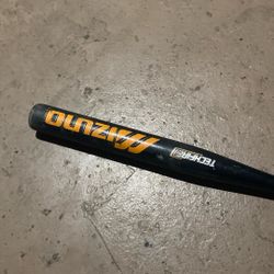 Softball Bat