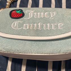 Juicy  Couture Purse 