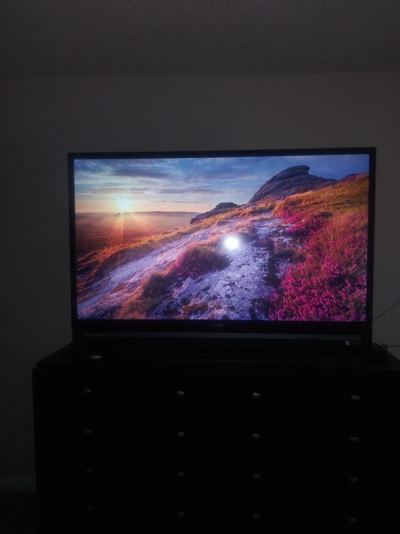 60' Sony SXRD HD Television
