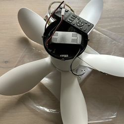 Ceiling Fan 