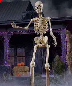 Halloween 12ft skeleton