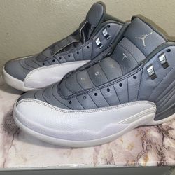 Air Jordan 12 stealth grey white men’s size 9.5